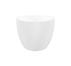 Candlelight Service Set - 4.25" Candles & White Plastic Shields (Set of 250)