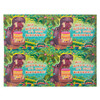 Postcard - Happy Birthday follow up (Pack of 40) - Jungle Journey Answers VBS 2024