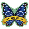 Butterfly Decorations - Jungle Journey Answers VBS 2024