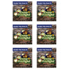 Student Music CD (Pkg of 6) - Camp Firelight VBS 2024 by Cokesbury