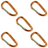 Outback Rock Carabiner (pack of 5) - Outback Rock VBS 2024 by Group