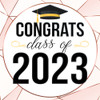 Yard Signs - Graduation - Class of Rose Gold - 24" x 24" Printed Size