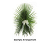 Fresh Mediterranean Palm Branches (Pack of 8)
