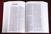 NIV Pew Bible LARGE PRINT (Hardcover, Burgundy - Case of 12)