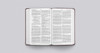 ESV Large Print Value Thinline Bible (TruTone, Mahogany, Border Design) - Case of 16
