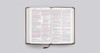 ESV Thinline Bible (TruTone, Royal Lion) - Case of 16