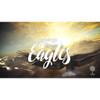 Soar Like Eagles - Isaiah 40:29-31 - Scripture Song Video - Seeds Family Worship