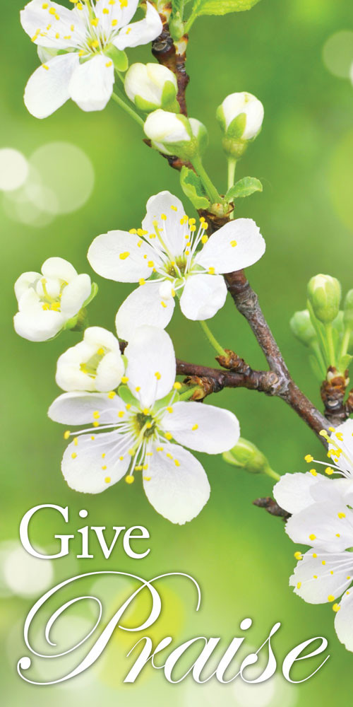 Church Banner Inspirational Give Praise