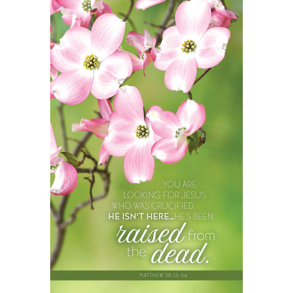 Church Bulletin 11" Easter You are looking for Jesus... Matt