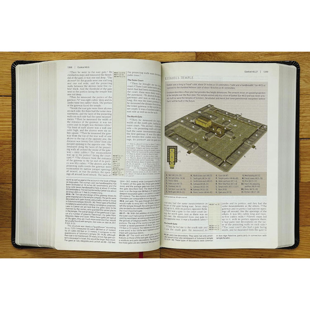 NIV Cultural Backgrounds Study Bible (Bonded Leather, Black