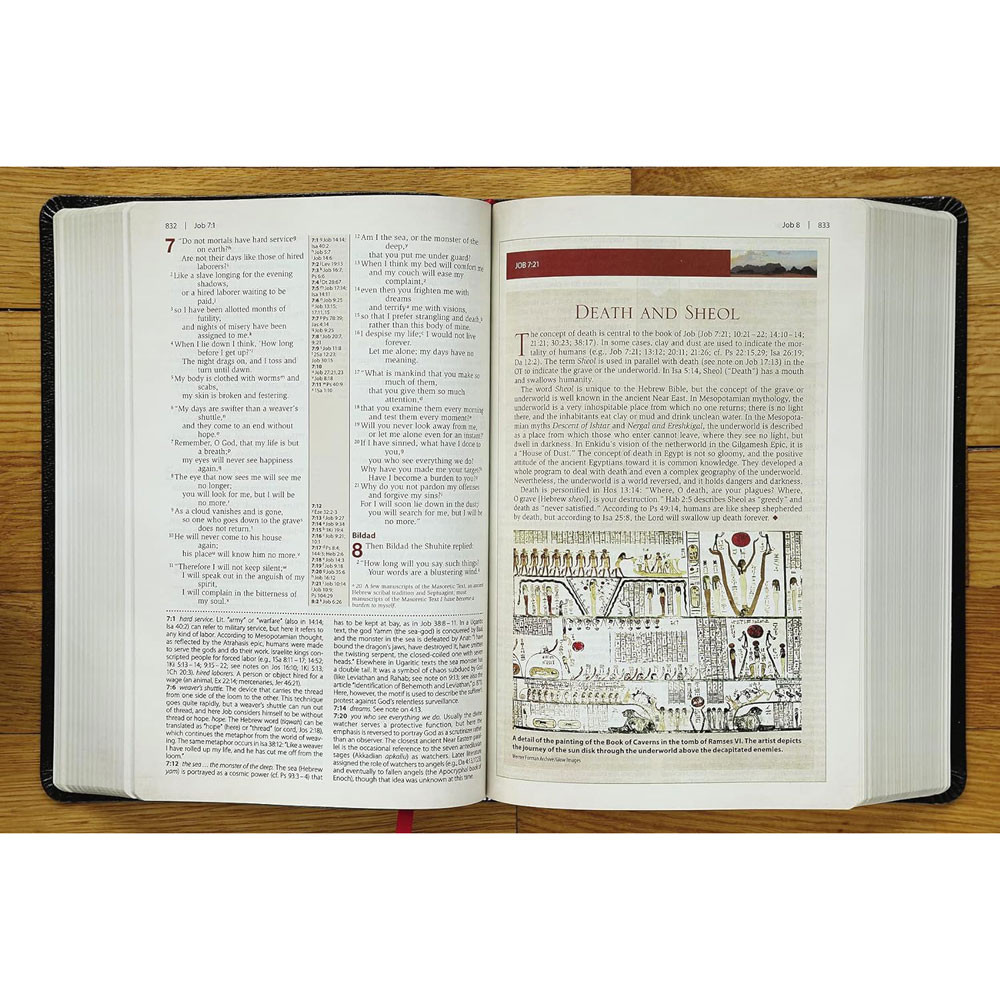 NIV Cultural Backgrounds Study Bible (Bonded Leather, Black