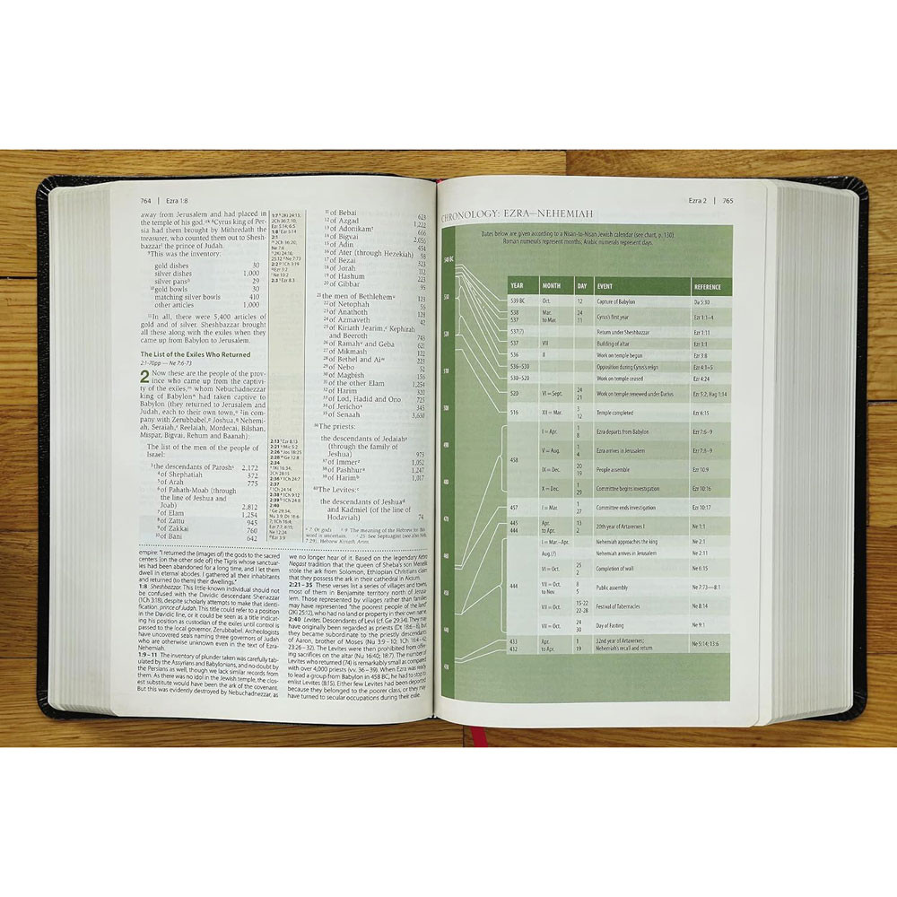 NIV Cultural Backgrounds Study Bible (Bonded Leather, Black