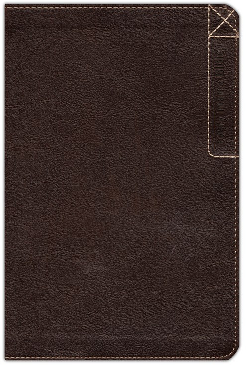 NLT Every Man's Bible Deluxe Explorer Edition (Imitation Leather