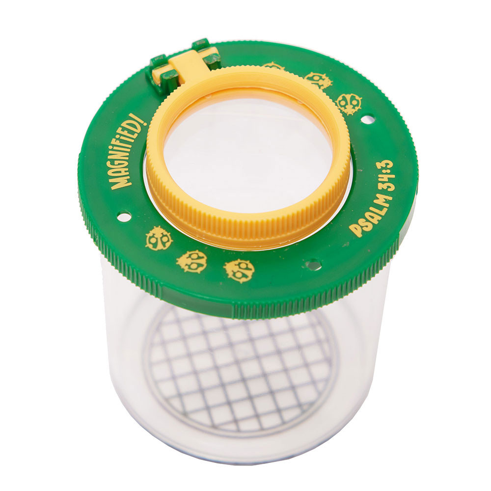 Science Insect Viewer Insect Viewer (3 in. x 3 in.) - Magnified! VBS 2025 by Lifeway ...