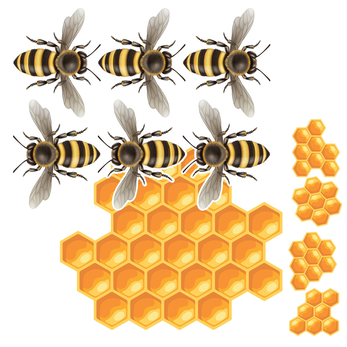 6 Bees and Honeycomb Set - Easy Scene Pop-Up Giant VBS Display