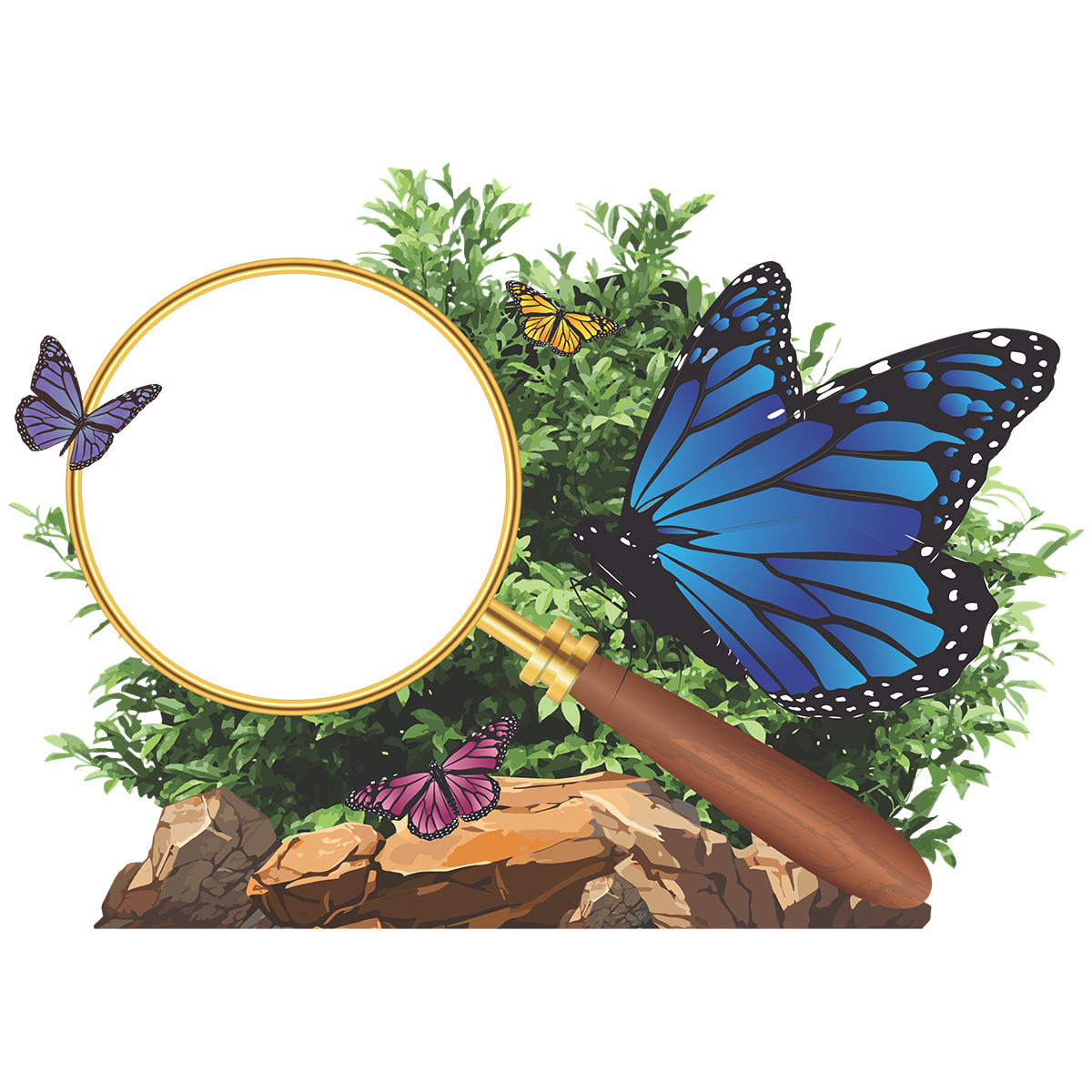 Magnifying Glass Photo Op with Butterly - Easy Scene Pop-Up Magnifying Glass Photo Op with Butterly - Easy Scene Pop-Up
