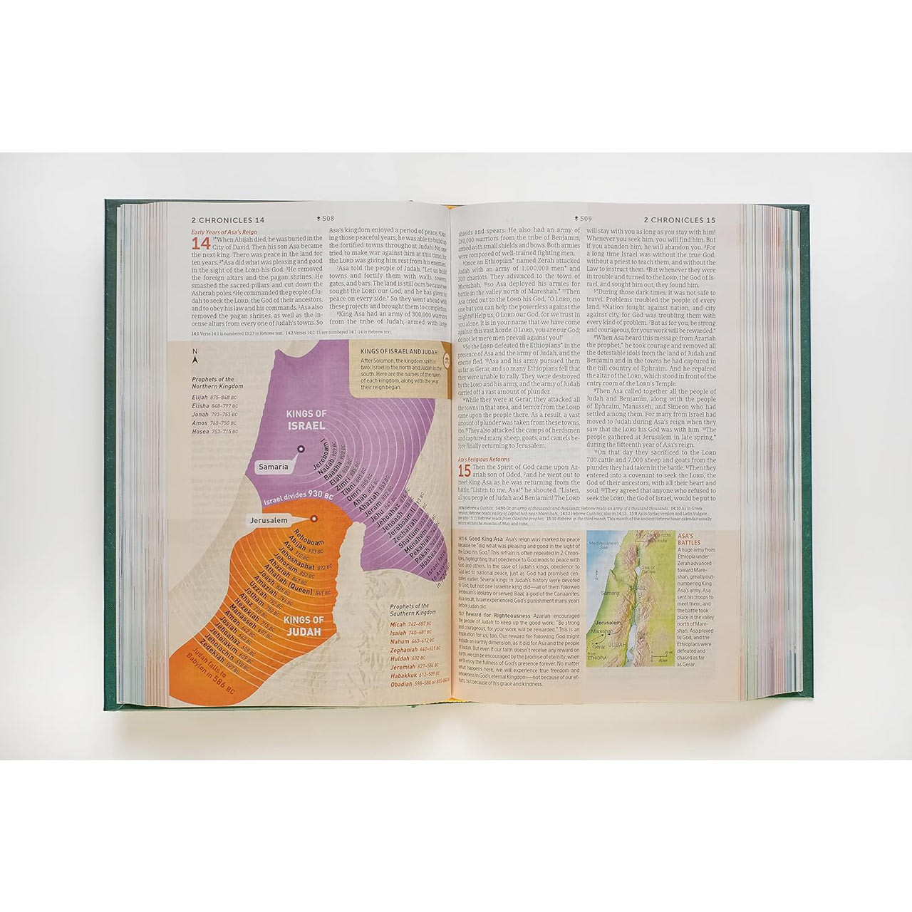 NLT Student Life Application Study Bible, Filament Enabled