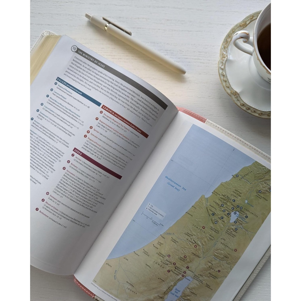 NLT Wide Margin Bible, Filament Enabled, Thumb Indexed (Imitation