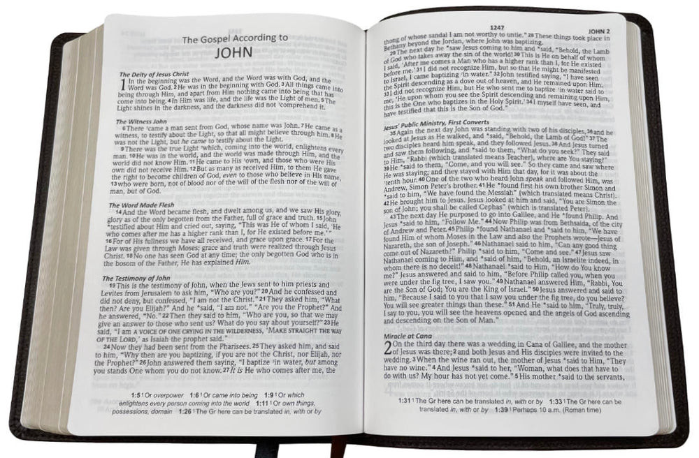 NASB 1995 Large Print Compact Bible (Imitation Leather, Blue