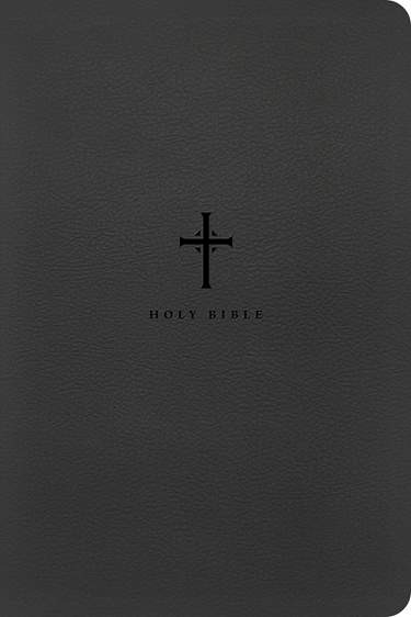 NLT Large Print Premium Value Thinline Bible, Large Print