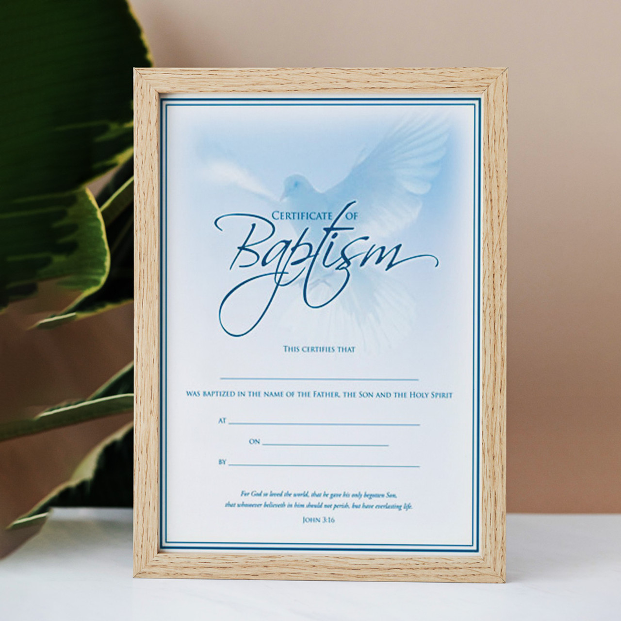 Baptism Certificate - Coated, Full Color - 8.5x11 - John 3:16