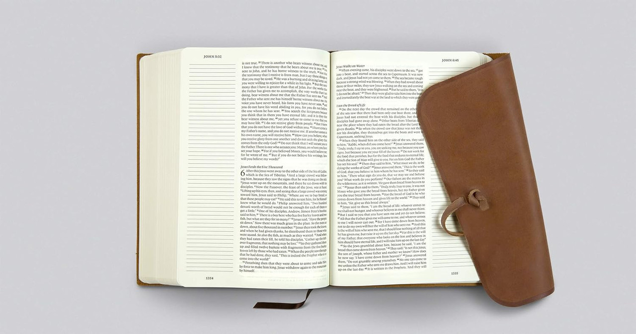 ESV Single Column Journaling Bible, Large Print (Natural Leather