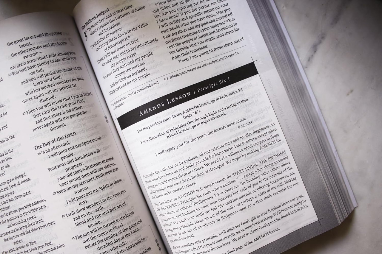 NIV Celebrate Recovery Study Bible (Paperback) 35th Anniversary