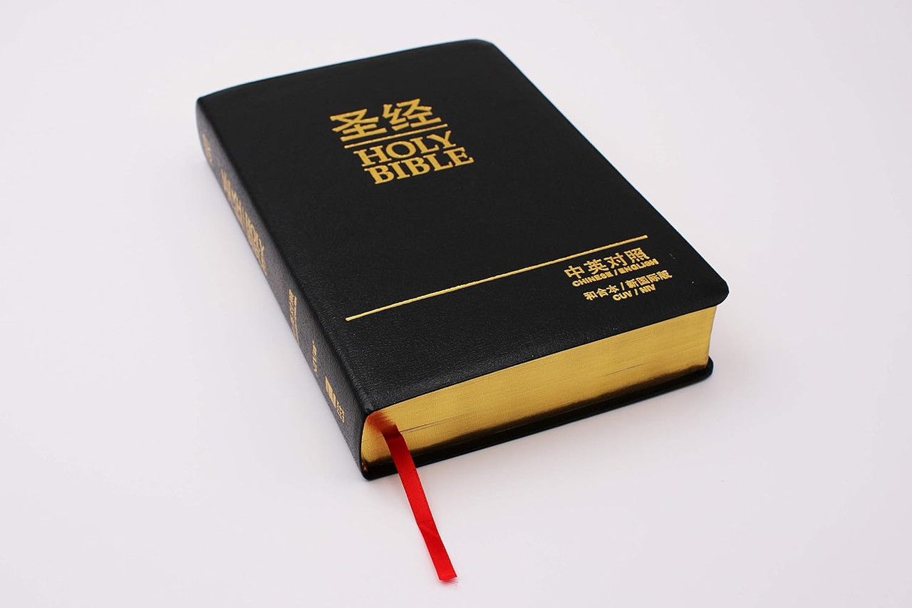 CUV (Simplified Script) - NIV Chinese/English Bilingual Bible - Bonded  Leather - Black (Case of 10)