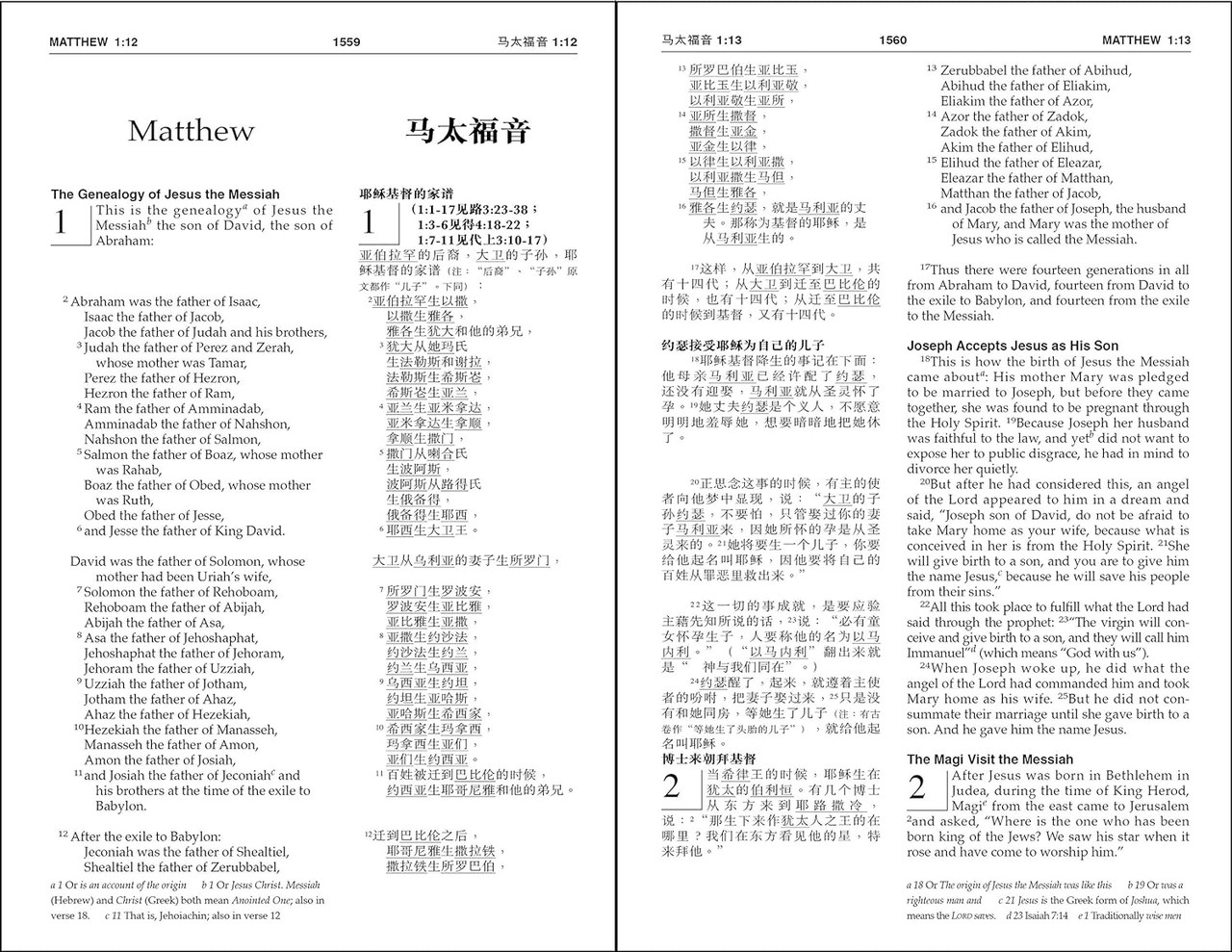 CUV (Simplified Script) - NIV Chinese/English Bilingual Bible