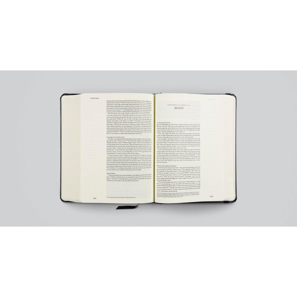 ESV Single Column Journaling Bible, Small Print (Hardcover, Black