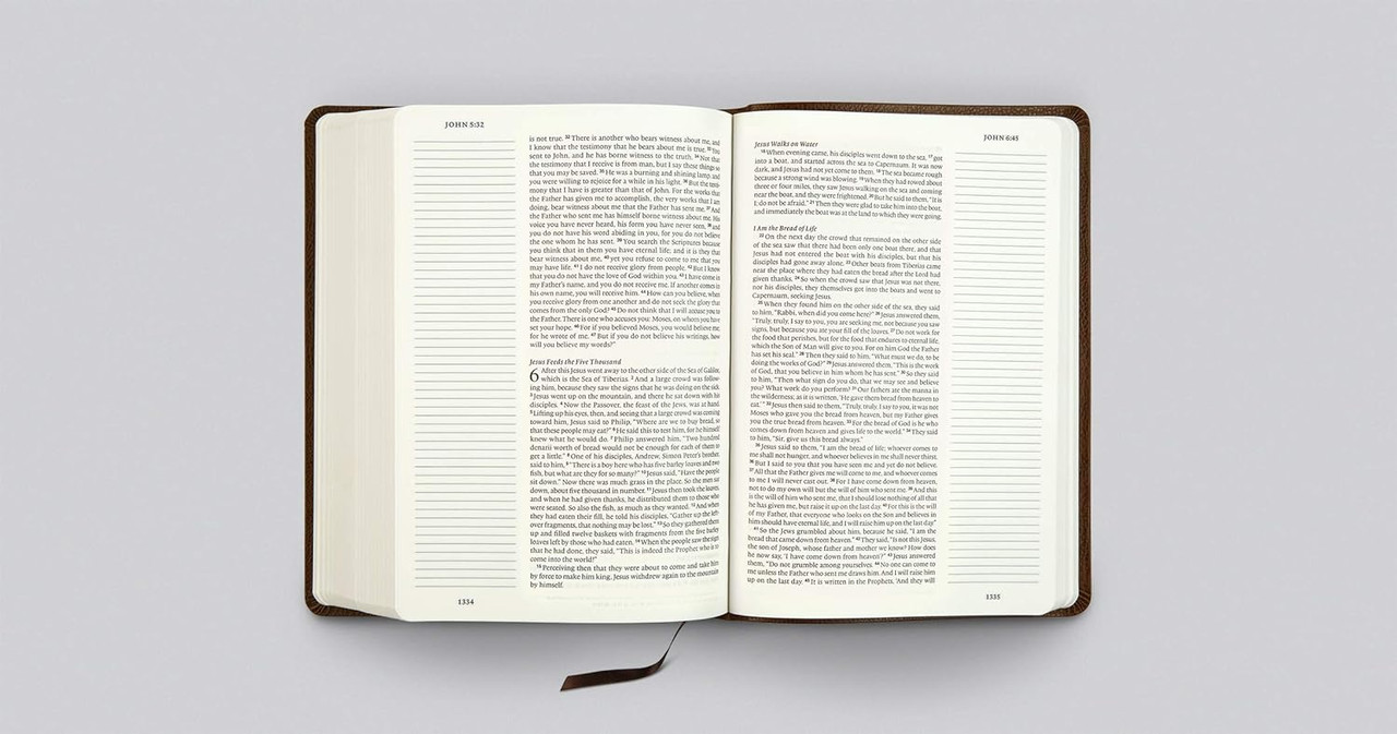 洋書 ESV Single Column Journaling Bible ESV Single Column Journaling Bible, Large Print (Bonded Leather