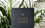 Top Church Pew Bibles For Your Church