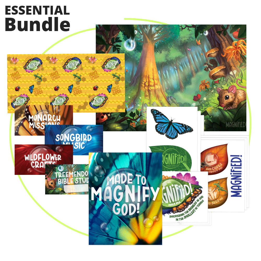 Decor Kickstarter BUNDLE - Magnified VBS 2025 by Lifeway - Concordia Supply