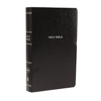 NLT BIBLE THE スタートレック 【送料込】新品未開封 Giant Cranberry (LeatherLike, Enabled Filament Bible, Print アート・デザイン・音楽