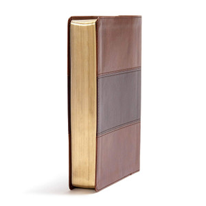 CSB Apologetics Study Bible (LeatherTouch, Mahogany) - Bulk Case of 12