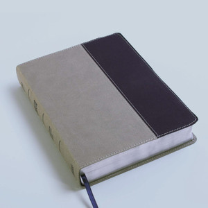 CSB Apologetics Study Bible for Students (Leather Touch, Gray/Navy) - Bulk Case of 12