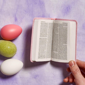 CSB Baby's New Testament with Psalms, Ages 2-4 (LeatherTouch, Pink) - Bulk Case of 180