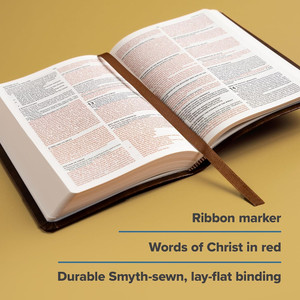 CSB Compact Bible, Small Print (LeatherTouch, Brown) - Bulk Case of 20