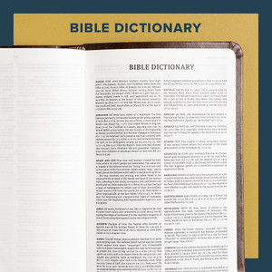 CSB Compact Bible, Small Print (LeatherTouch, Brown) - Bulk Case of 20