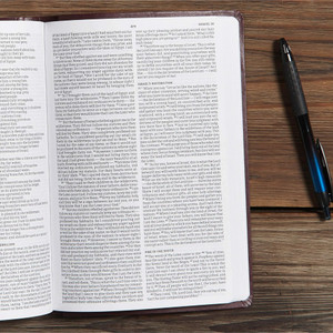 CSB Gift & Award Bible (Imitation Leather, Burgundy) - Bulk Case of 24