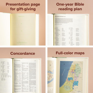 CSB Notetaking Bible (Cloth, Sage) - Bulk Case of 12