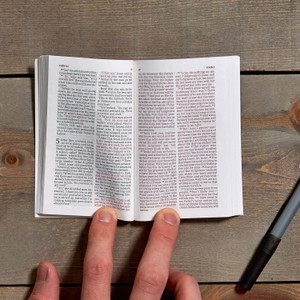 CSB Pocket New Testament with Psalms, Small Print (Paperback, Burgundy) - Bulk Case of 230