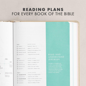 CSB She Reads Truth Bible, Devotional (Leather Touch, Champagne Gold) - Bulk Case of 8