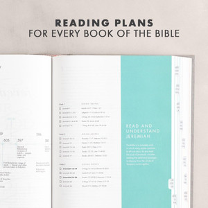 CSB She Reads Truth Bible, Thumb Indexed (Cloth, Gray Linen) - Bulk Case of 8