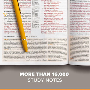 CSB Study Bible (Leather Touch, Mahogany) - Bulk Case of 8