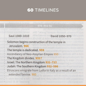 CSB Study Bible (Leather Touch, Mahogany) - Bulk Case of 8