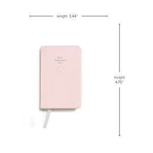 KJV Baby's New Testament (Imitation Leather, Pink)