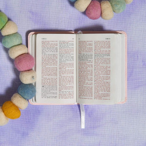 KJV Baby's New Testament (Imitation Leather, Pink)