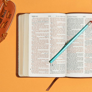 KJV Kids Bible, Lion (LeatherTouch) - Bulk Case of 12