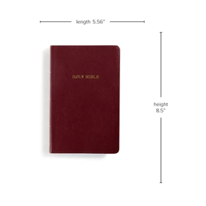 KJV Gift and Award Bible (Imitation Leather, Burgundy) - Bulk Case of 24